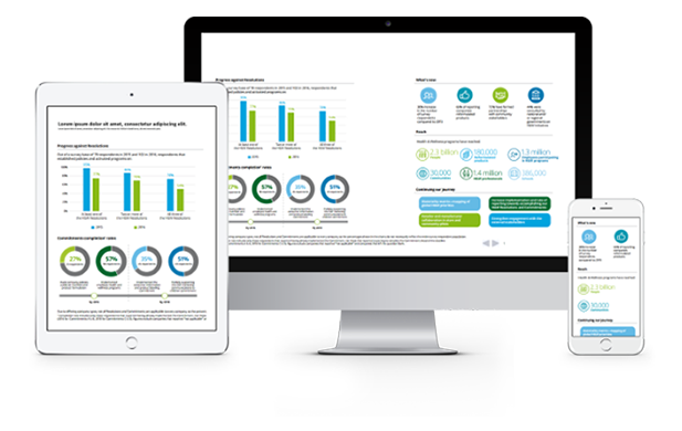 WEB TABANLI RAPORLAMA PLATFORMU