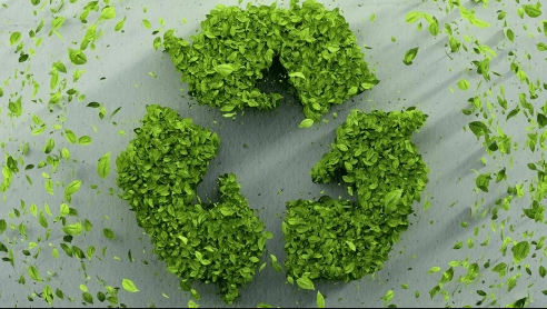 Yazilim Mavi Pendik - Web Tasarım 